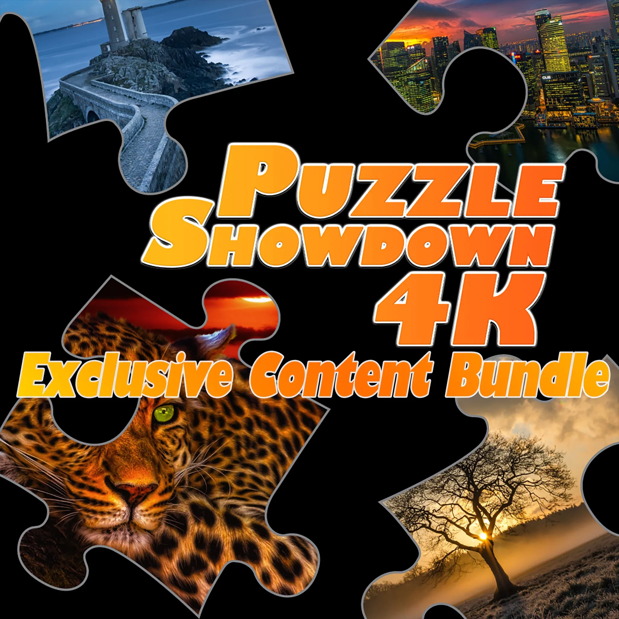 Puzzle Showdown 4K — скриншот