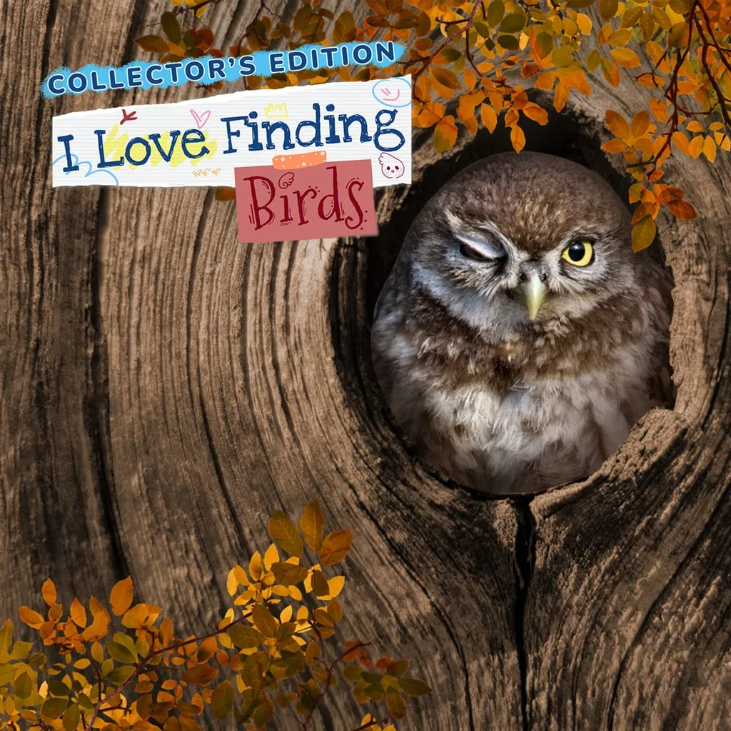 I Love Finding Birds Collector's Edition — скриншот