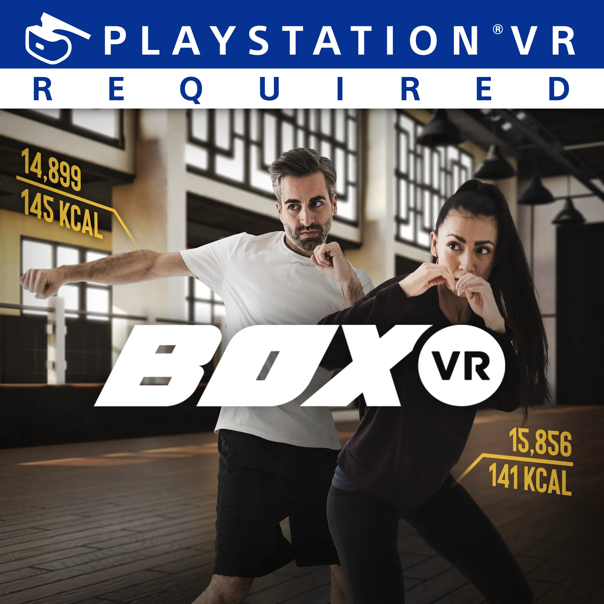 BOXVR — скриншот