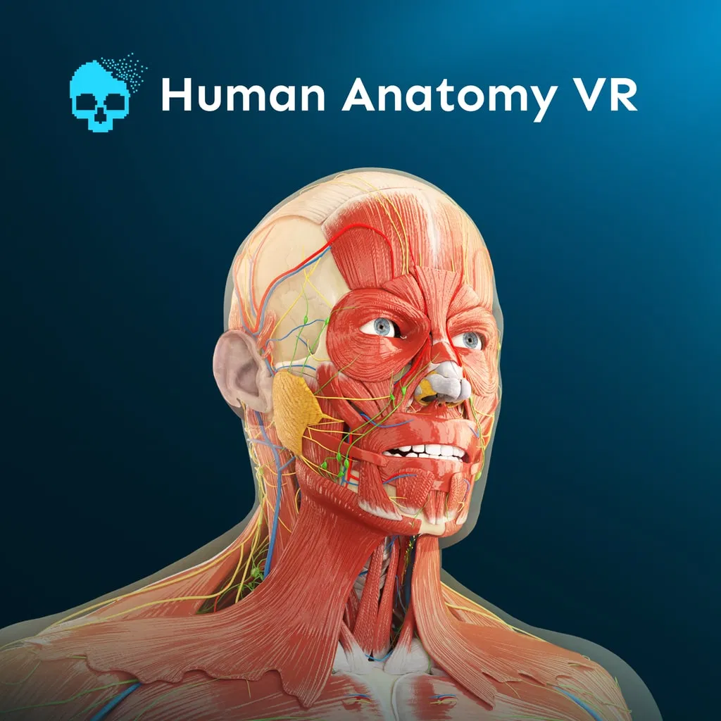 Human Anatomy VR — скриншот