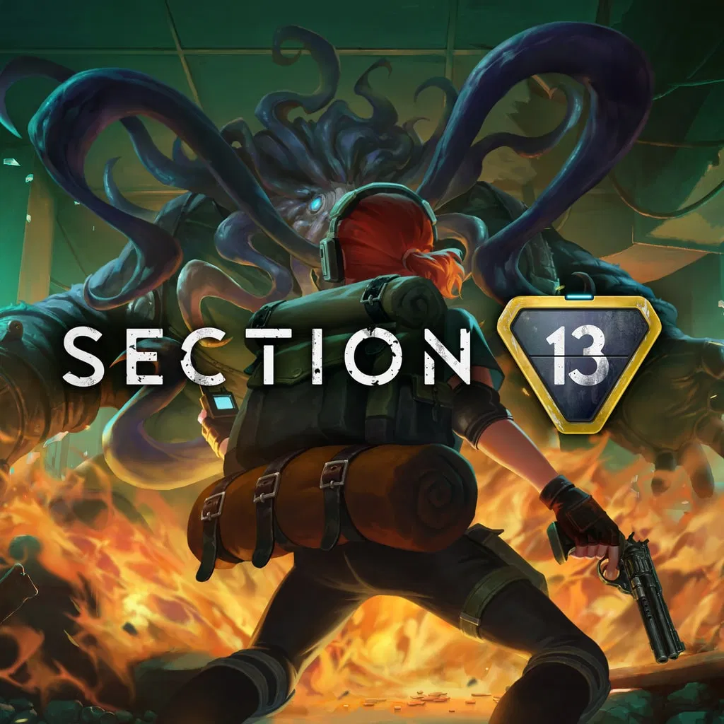 Section 13 — скриншот